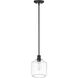 Asheville 1 Light 8 inch Matte Black Mini-Pendant Ceiling Light